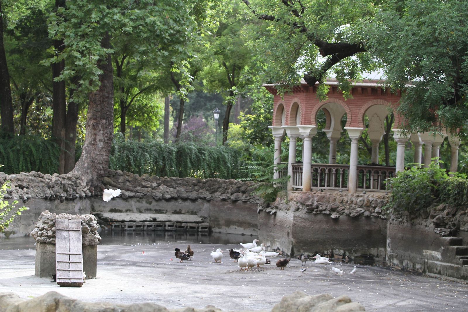 Limpieza del estanque Isleta de los Patos del Parque de María Luisa, en una imagen de archivo.