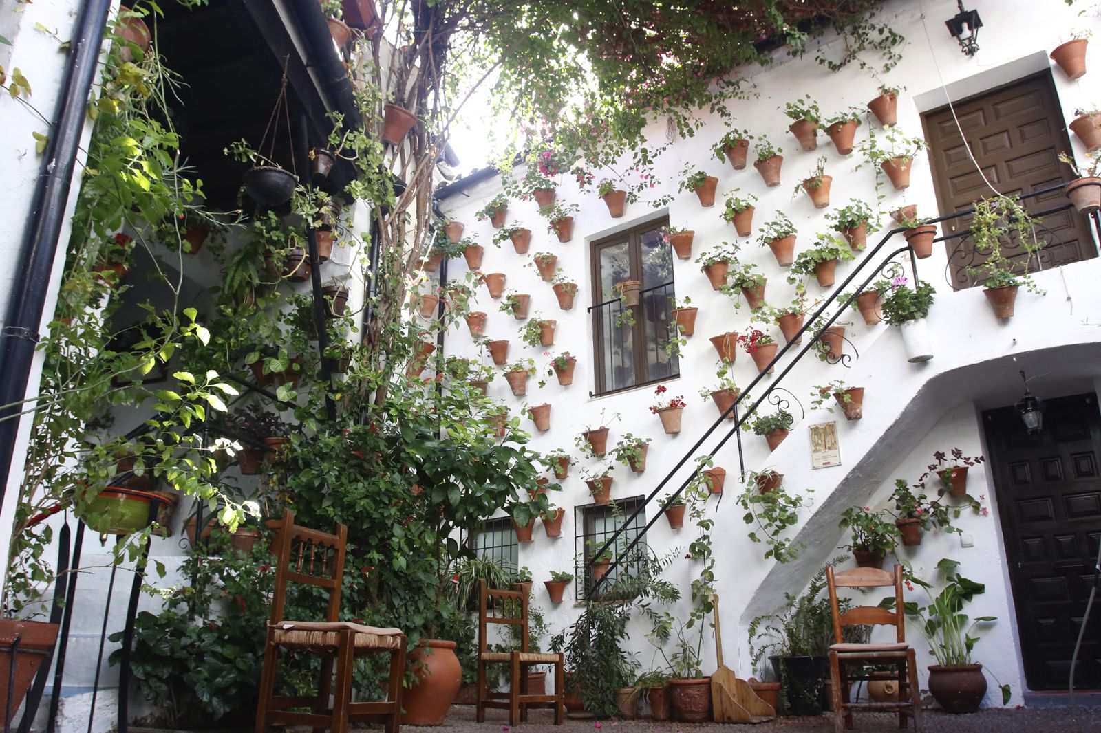 Las fotografías de los Patios de Córdoba en otoño