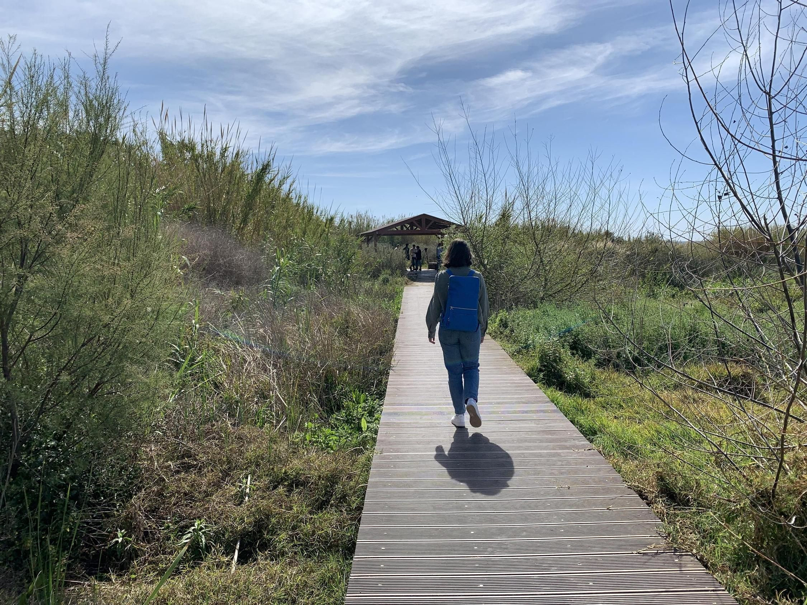 Una joven camina por el sendero de Las Azucenas inaugurado hace unos años