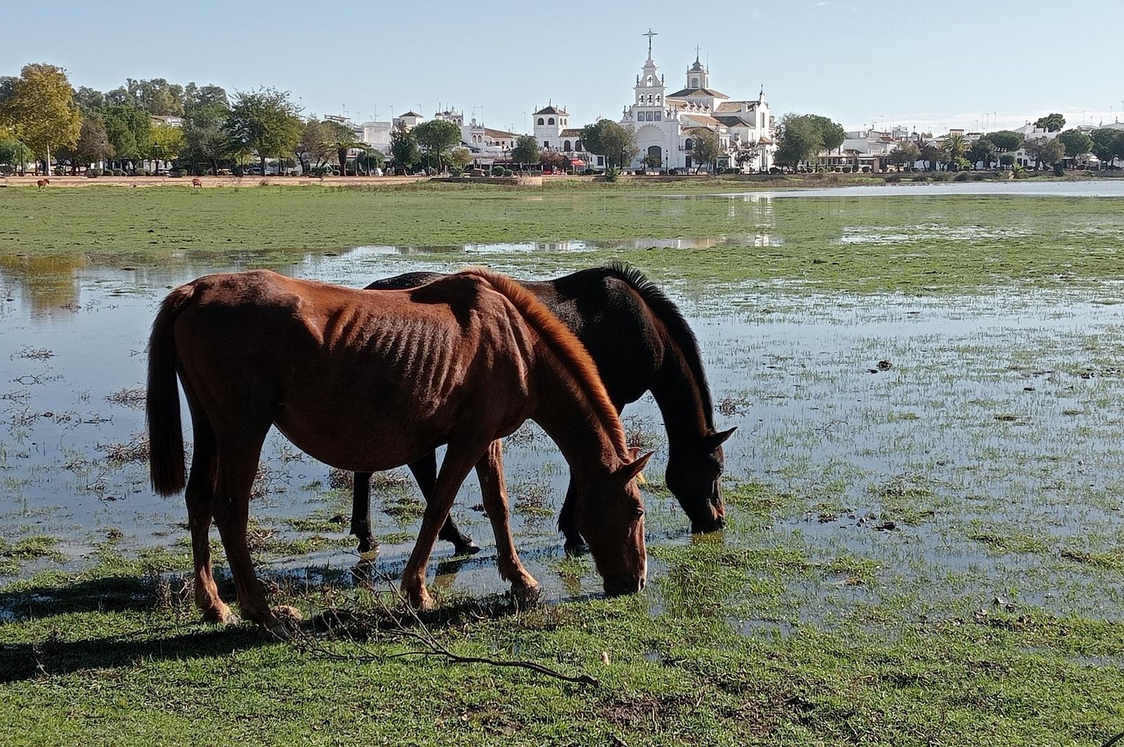 Imágenes del domingo 19 de noviembre en Huelva