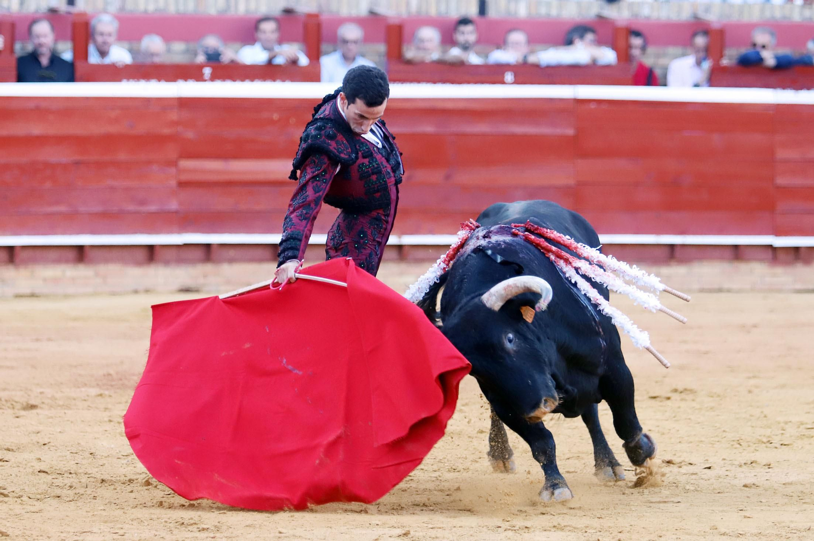 Imágenes de Morante de la Puebla, David de Miranda y Pablo Aguado en la Plaza de Toros La Merced