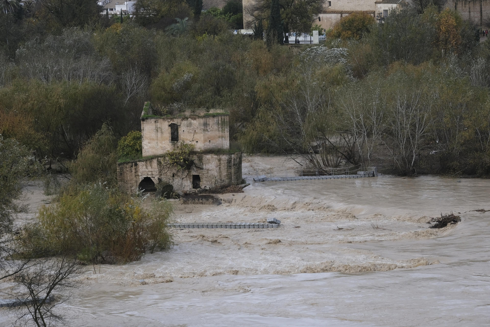 La crecida del río Guadalquivir tras las lluvias en Córdoba, en imágenes