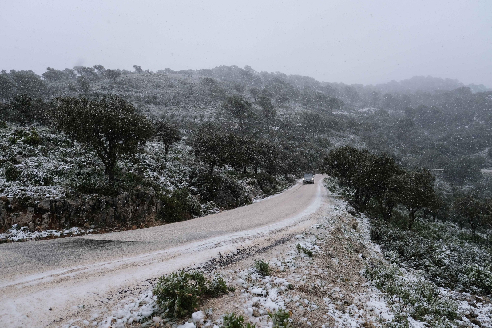 La nueva nevada  en el Parque Nacional Sierra de las Nieves, en fotos