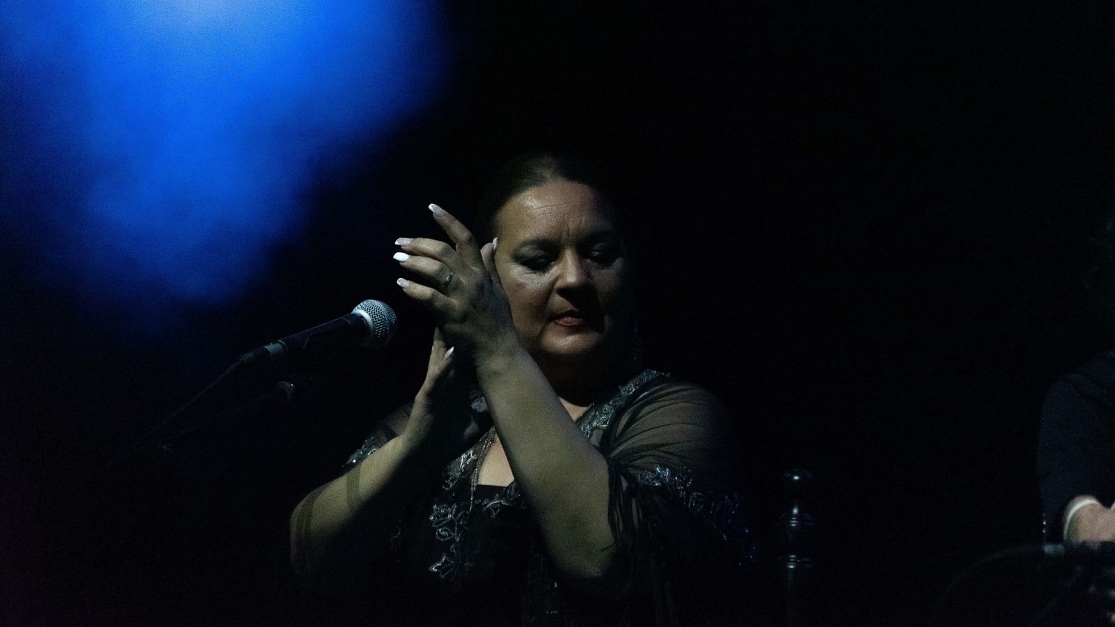 Noche flamenca en Algeciras