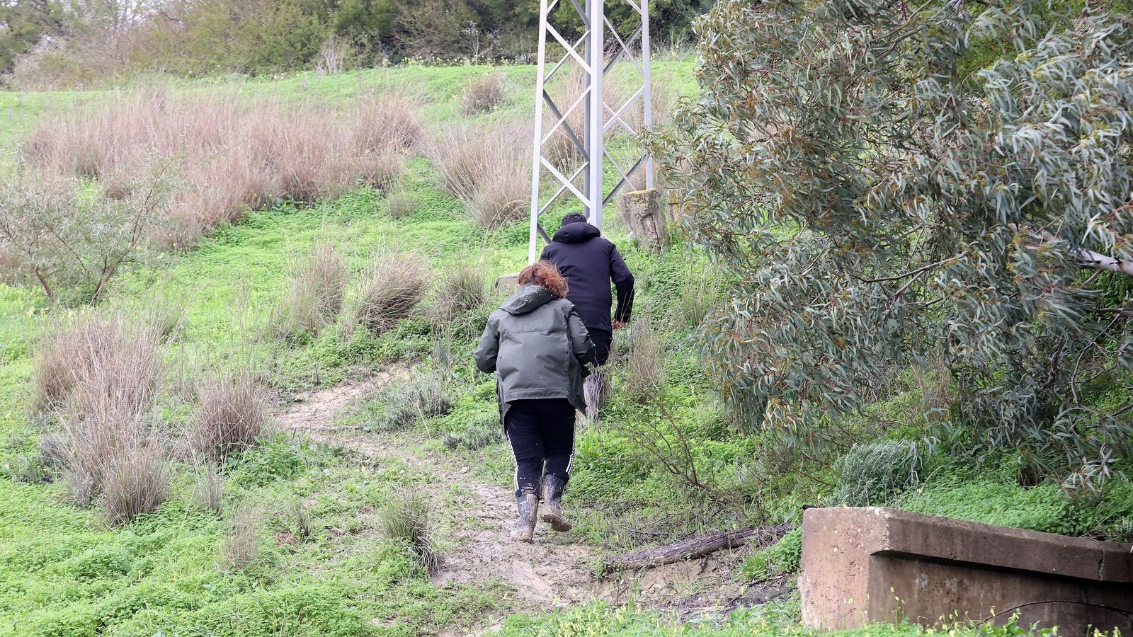 Imágenes del paseo rural por Jerez en el estreno de la borrasca Marta