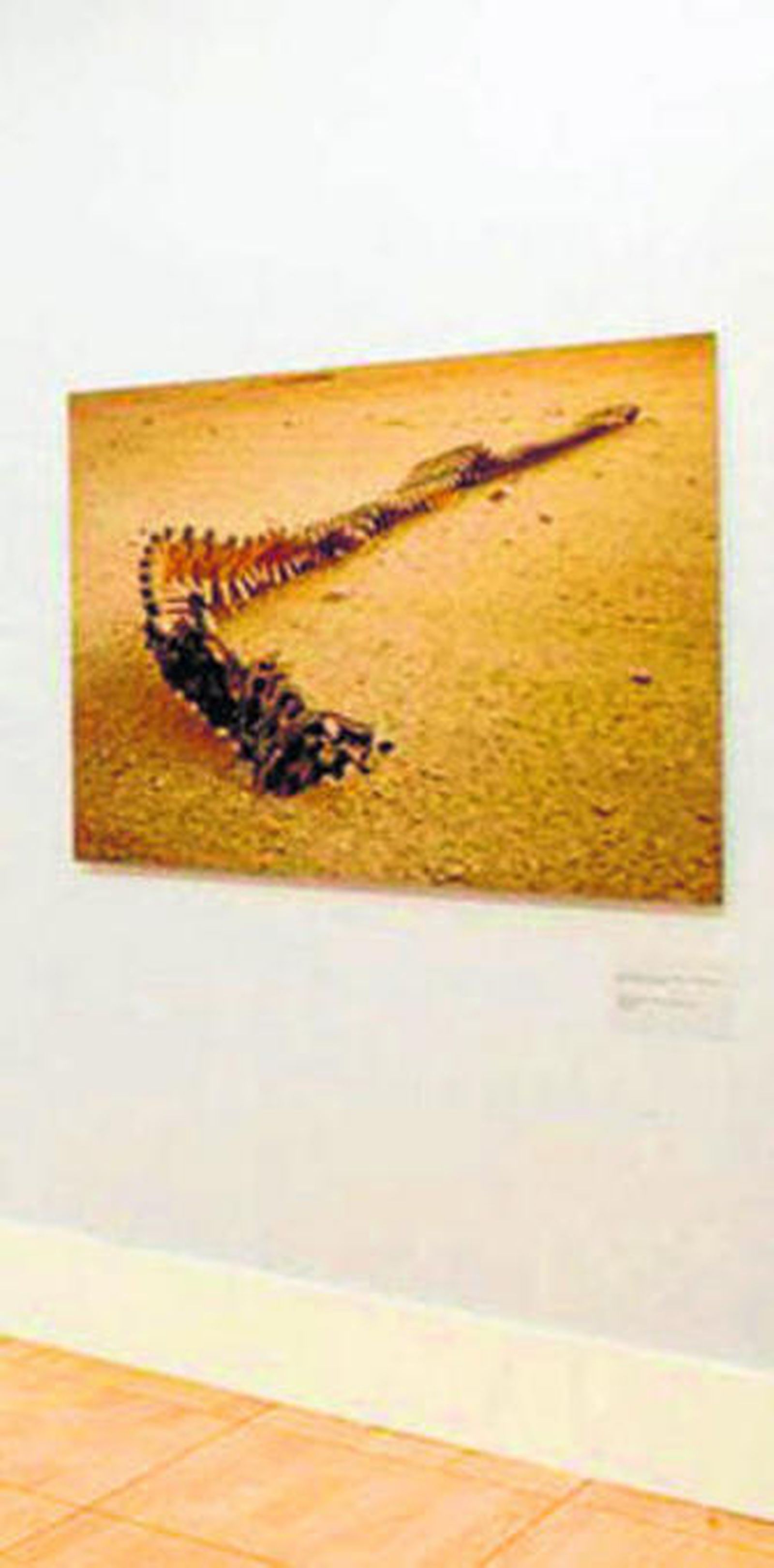 Obra de Simón Norfolk.