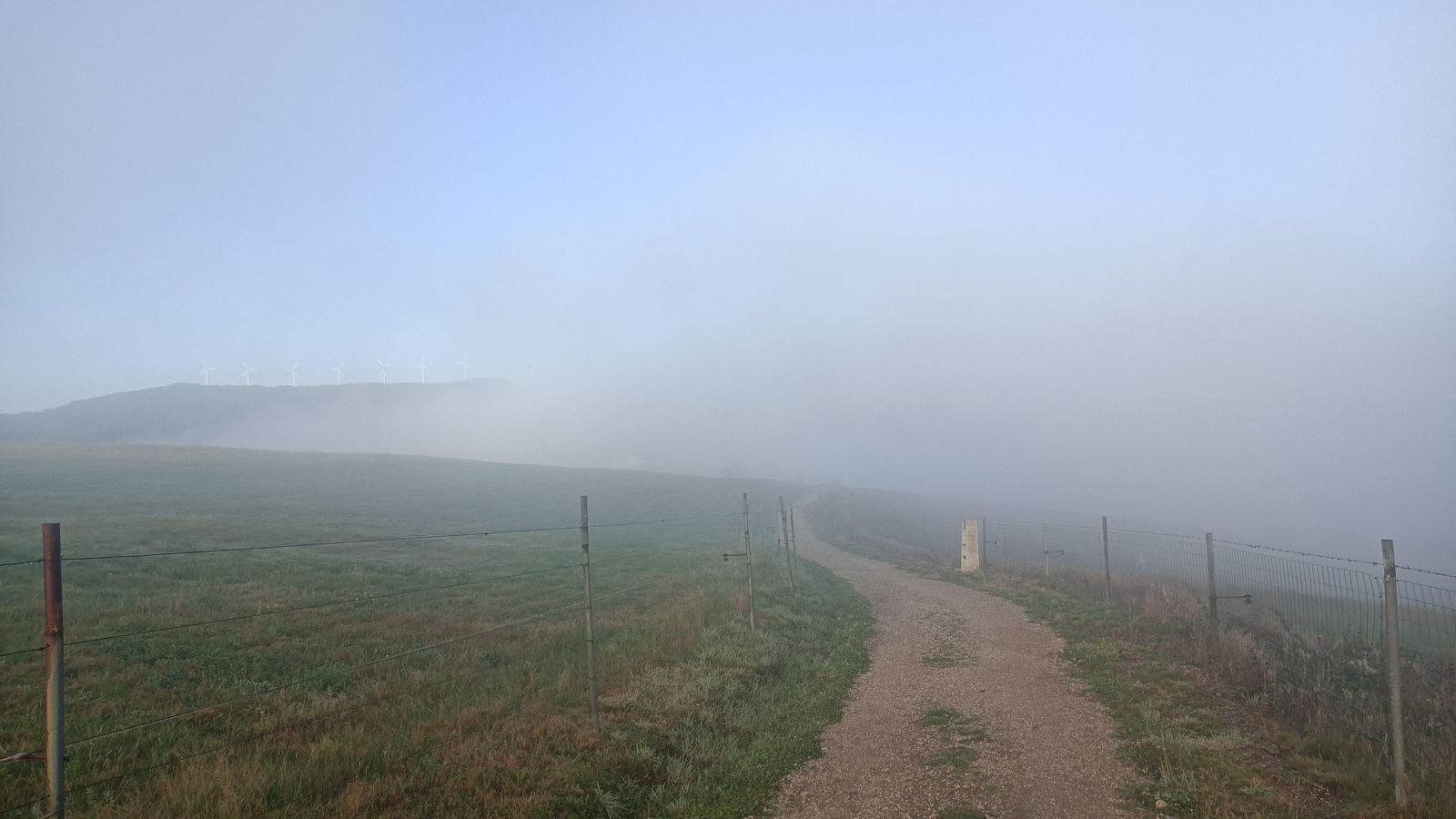 Avance entre vallas en una zona de praderas tras Vilardongo.