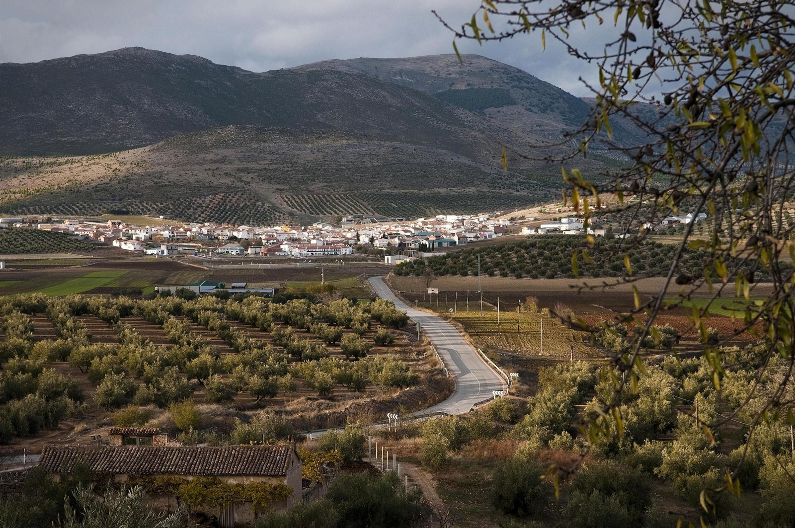 23 proyectos par mirar al futuro