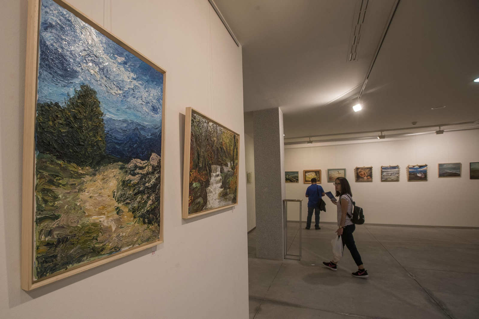 Clausurada la exposición 'Imágenes' de Pavía y Cepillo