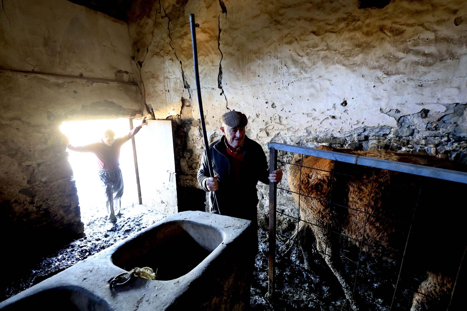 Las fotografías de la ganadería de Luis Benítez en Tarifa