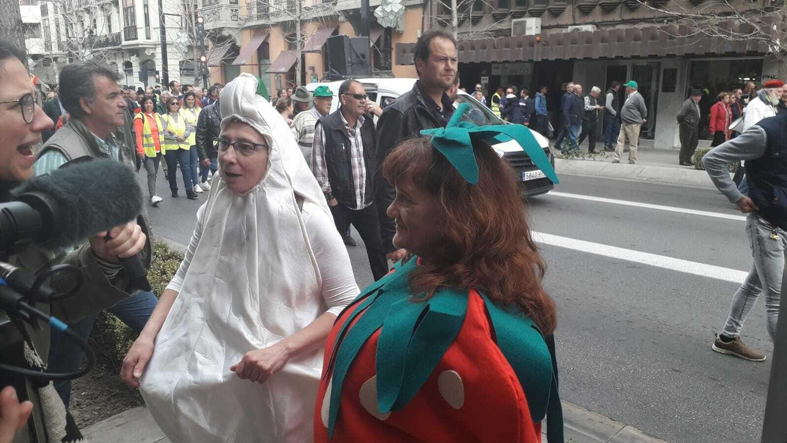 Un disfraz de cebolla y otro de fresa, durante la manifestación en Granada.