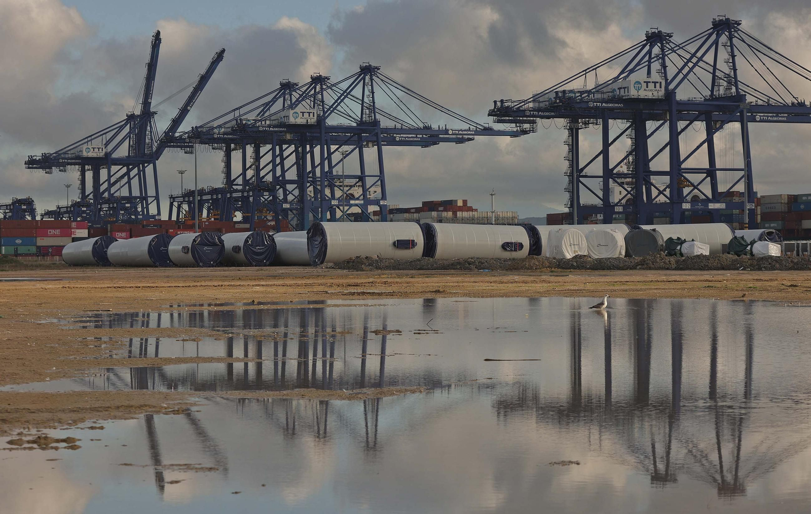 Los aerogeneradores descargados en el muelle de Isla Verde Exterior del Puerto de Algeciras, en imágenes