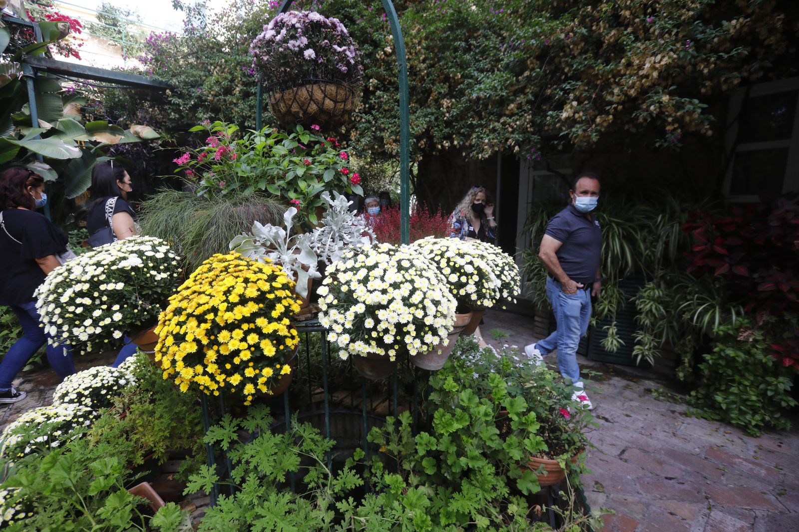 Un recorrido en fotografías por los Patios de Córdoba un domingo de otoño