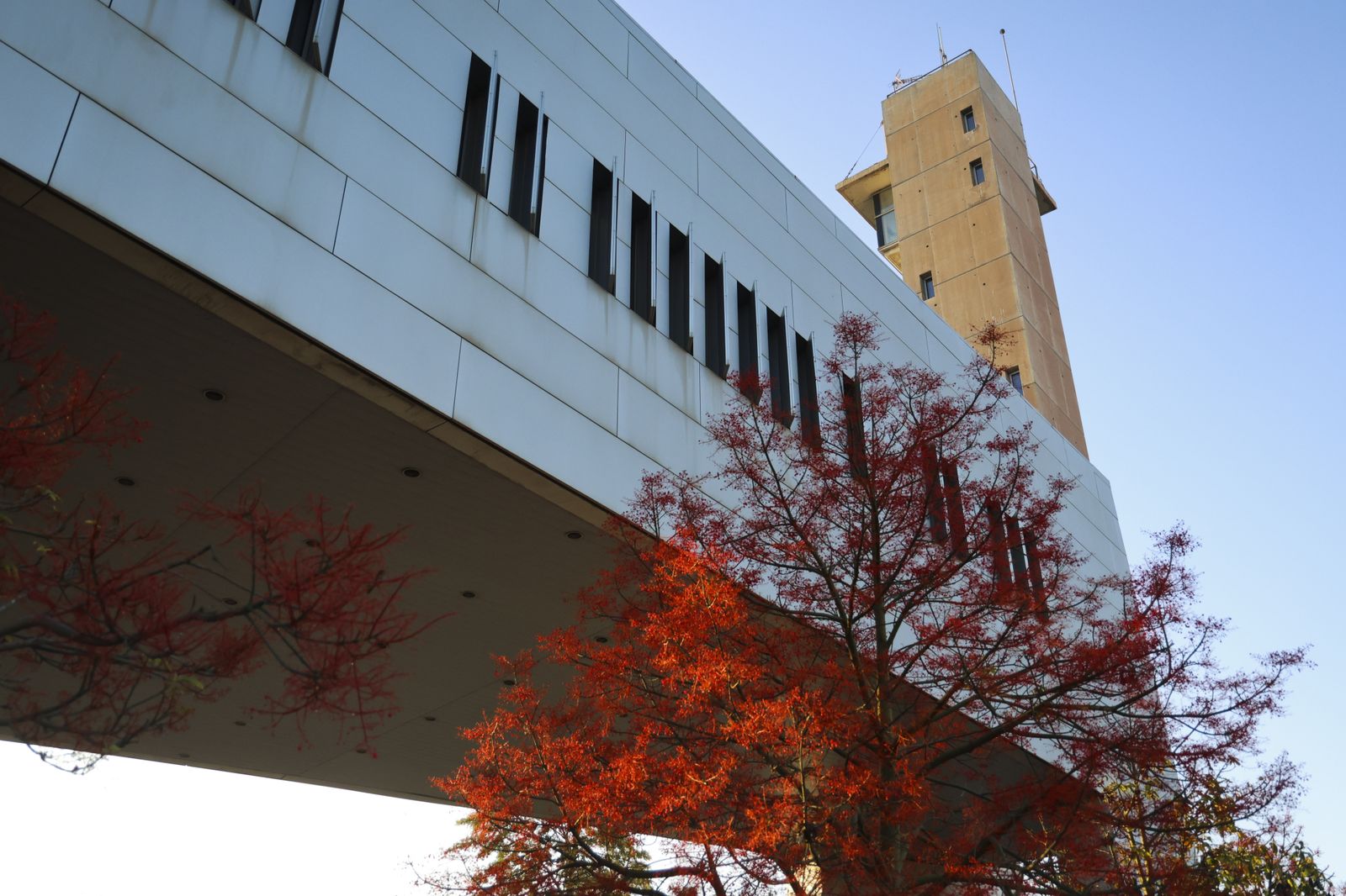 Imágenes de los 10 edificios singulares de la Málaga contemporánea