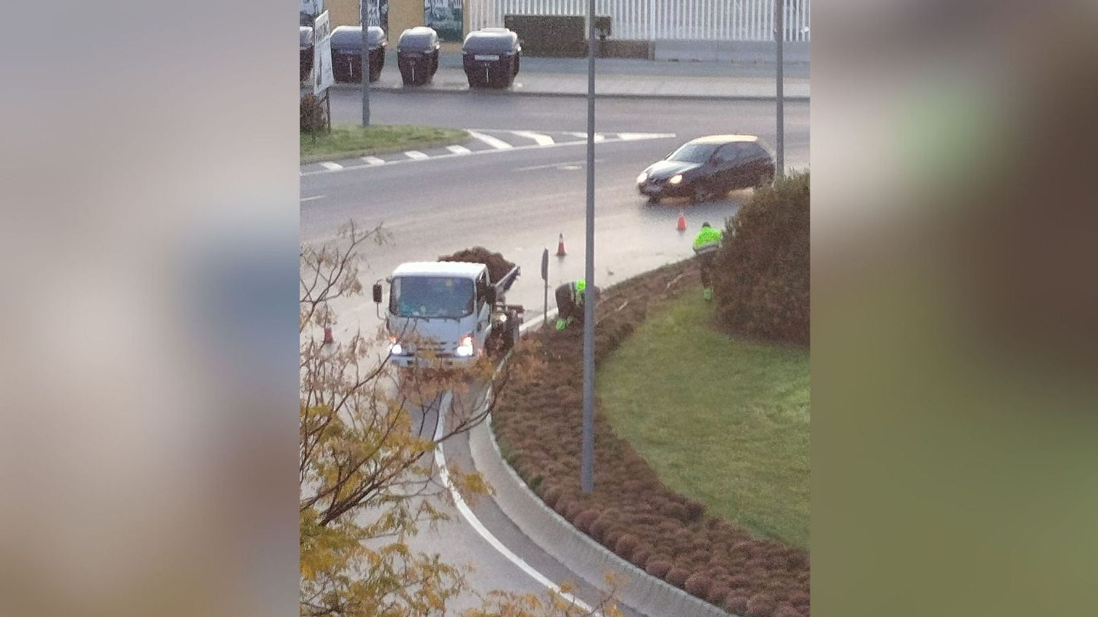 El PSOE denuncia el deterioro de las plantaciones en la Glorieta Nelson Mandela