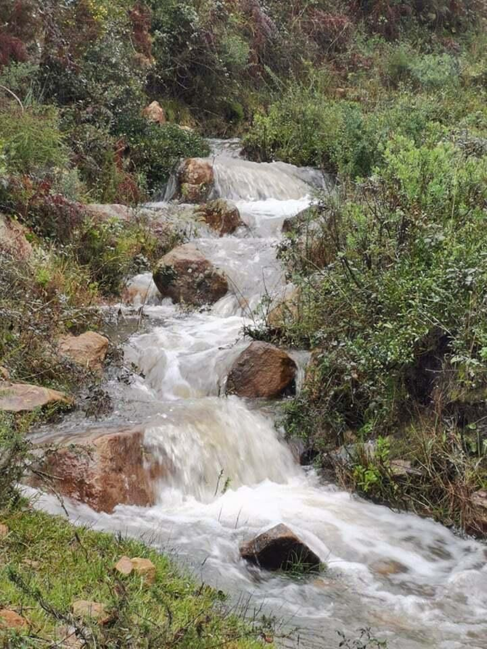 El río de la Miel, tras las últimas lluvias.