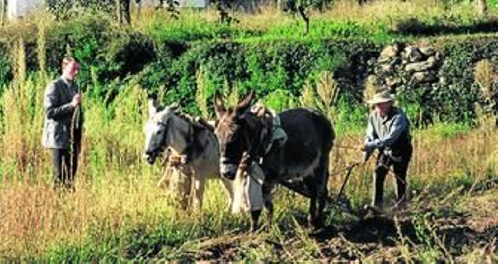 Trabajo en el campo en uno de los municipios de Sierra Nevada.