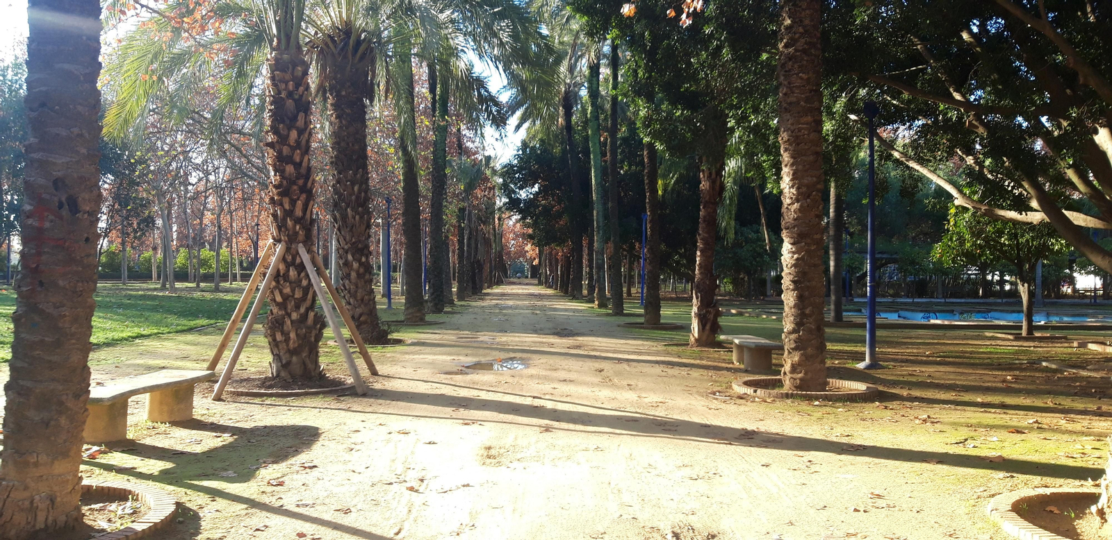 Ruta por la ribera del Guadalquivir entre Sevilla y Coria del Río