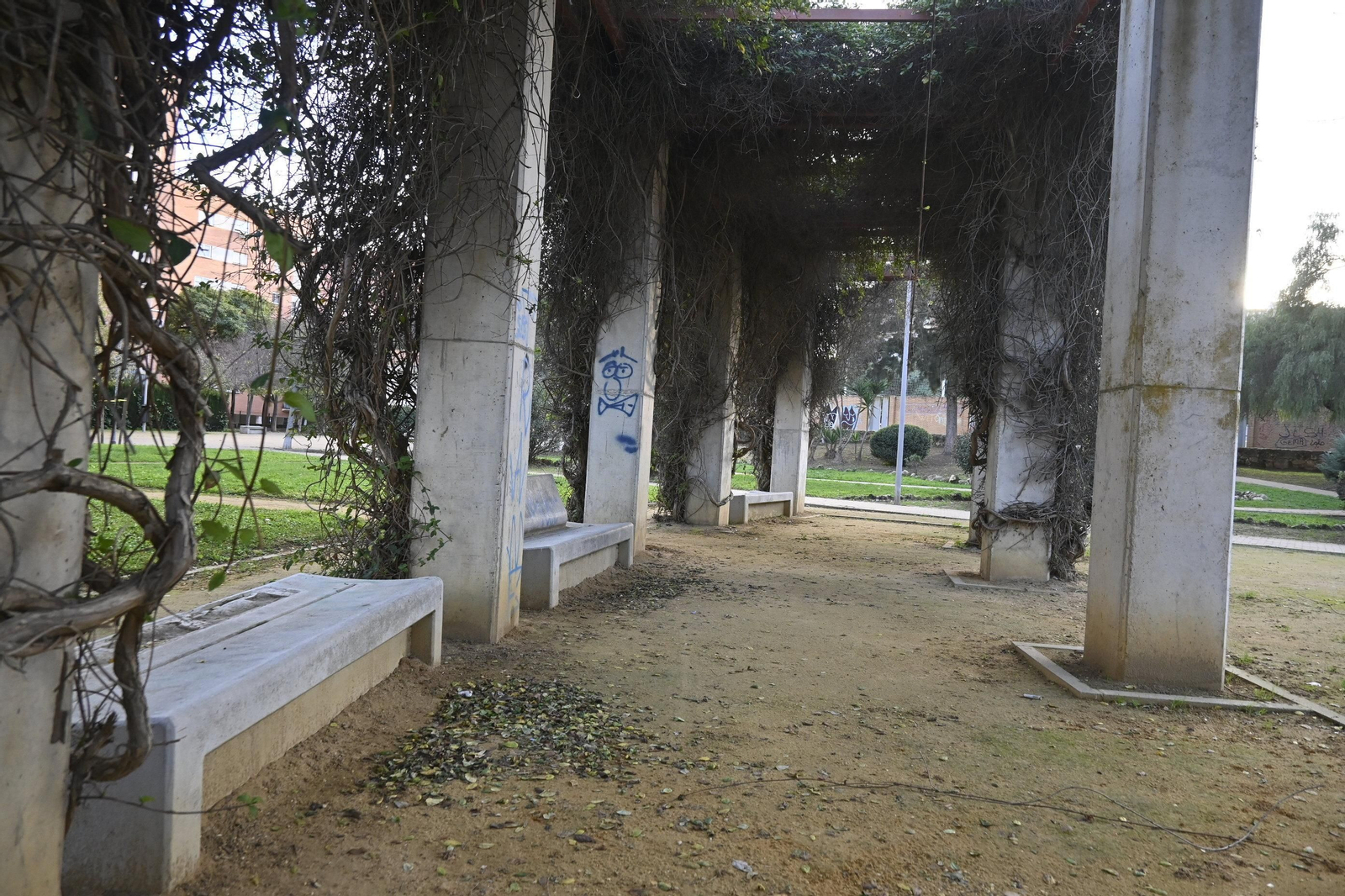 Barrio a barrio: Imágenes de Los Rosales