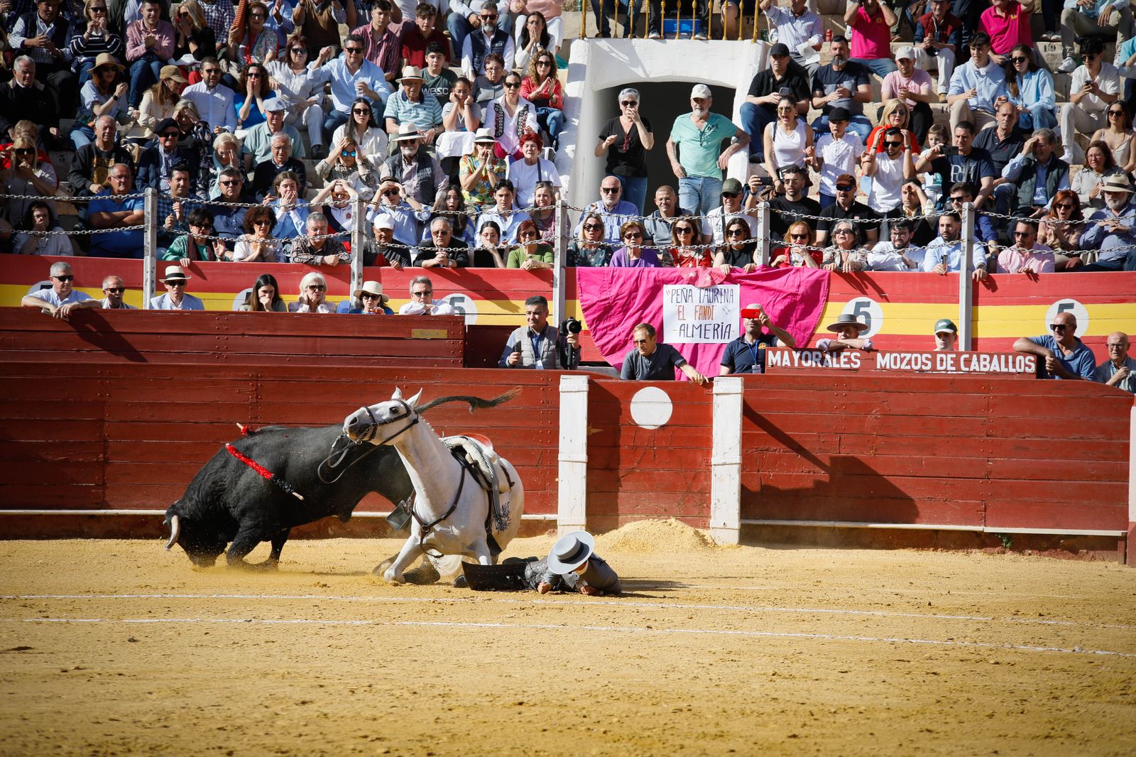 Imágenes del festival mixto lucha contra el cáncer