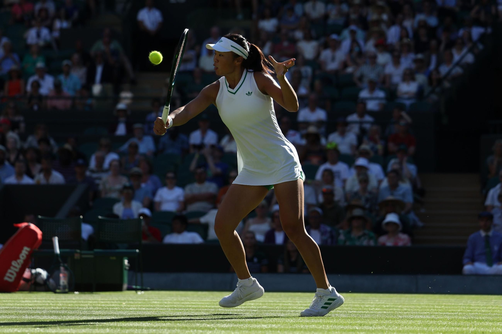 La primera jornada de Wimbledon (123).jpg