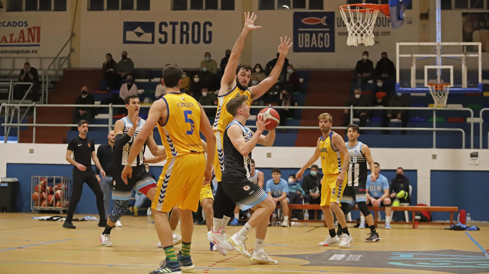 Las mejores fotos del ULB - Novaschool