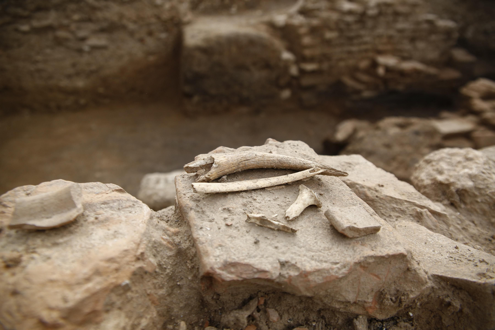 Las imágenes de las termas romanas  Los Mondragones