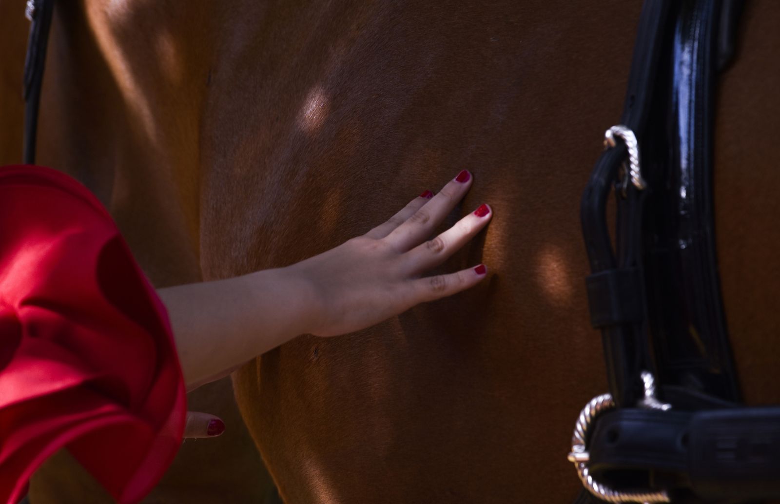 Galería resumen de la Feria de Abril 2019. Por Juan Carlos Vázquez