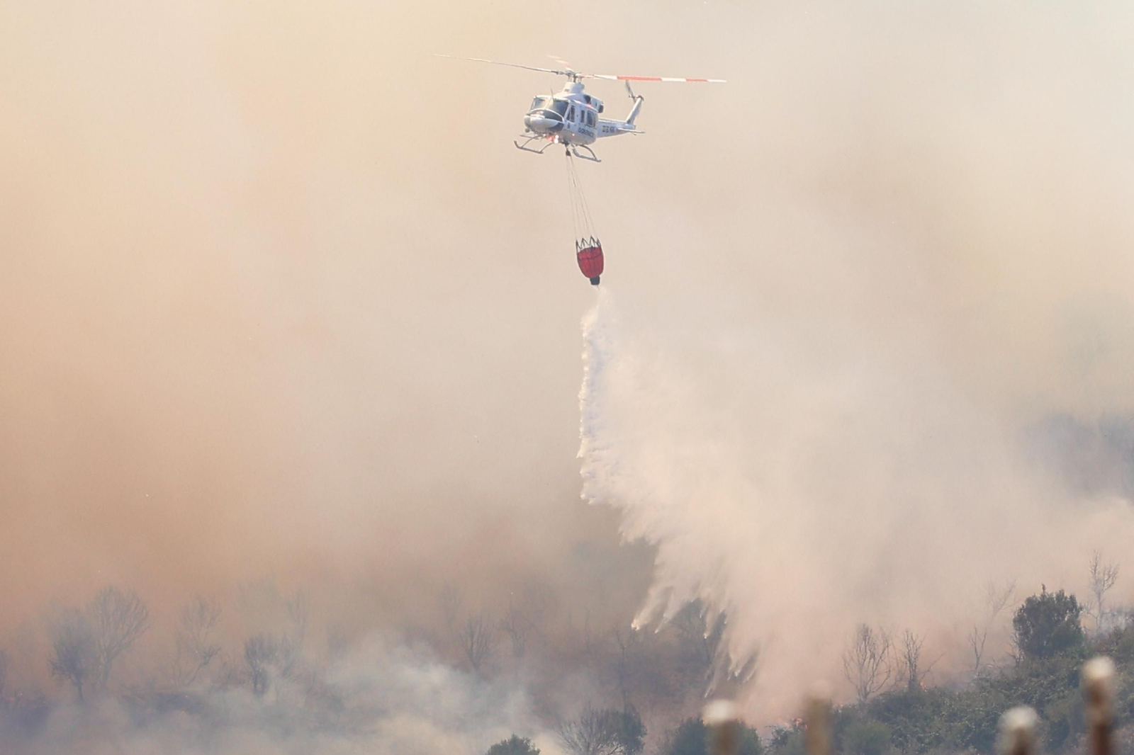 Las fotografías del incendio en el paraje de Botafuegos, en Algeciras