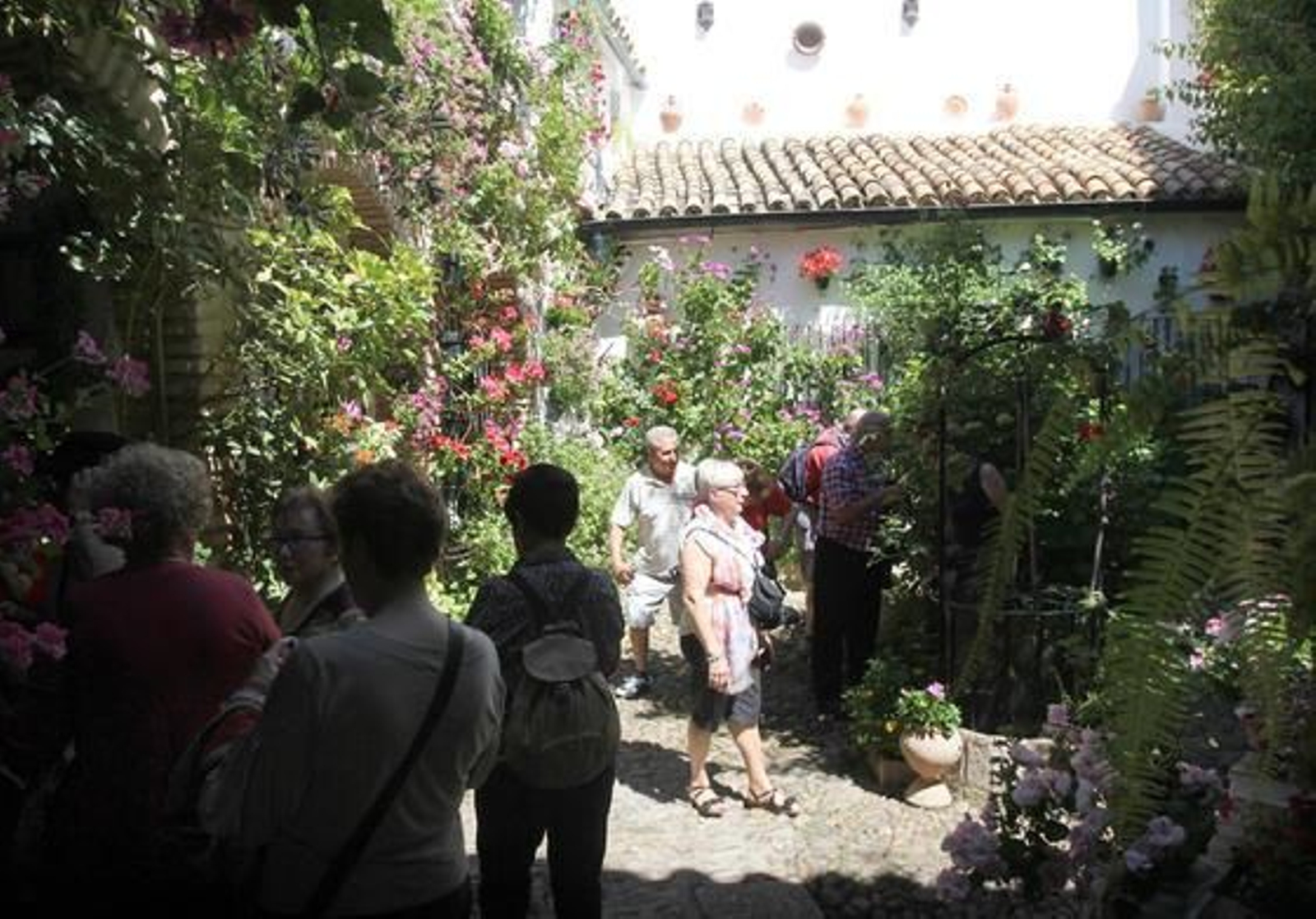 Parras 6.

Foto: Jose Martinez