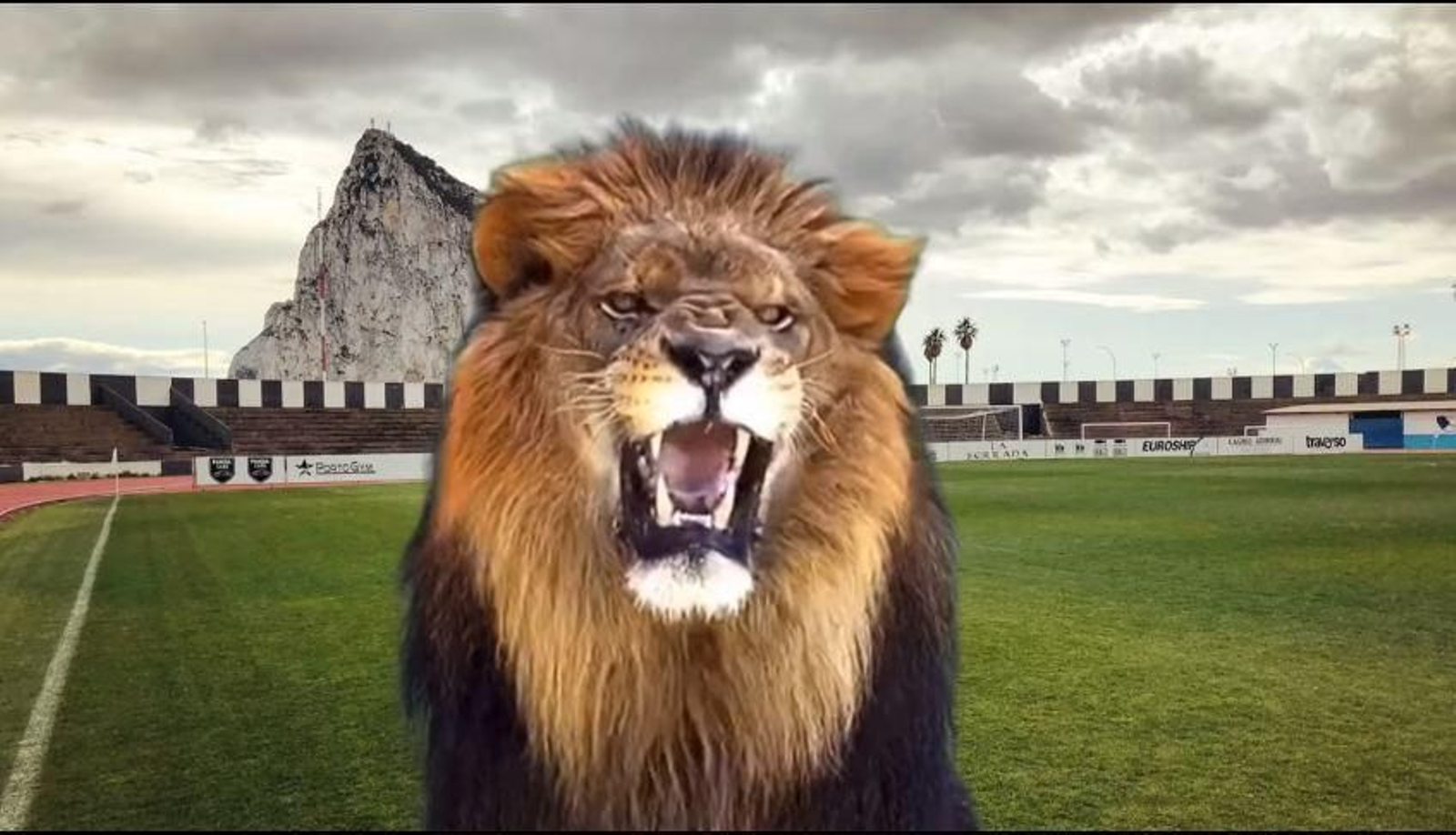 La campaña de la Balona para que su público 'ruja' ante el Betis Deportivo