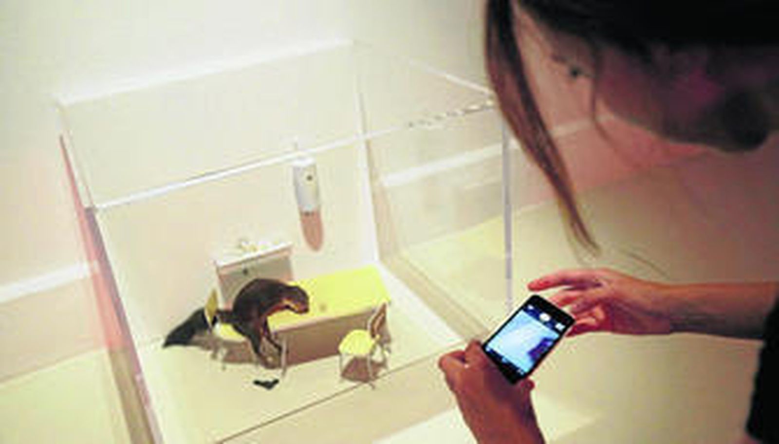 'Bidibidobidiboo' (1996), una de las obras de Maurizio Cattelan expuestas en la muestra del CAC.