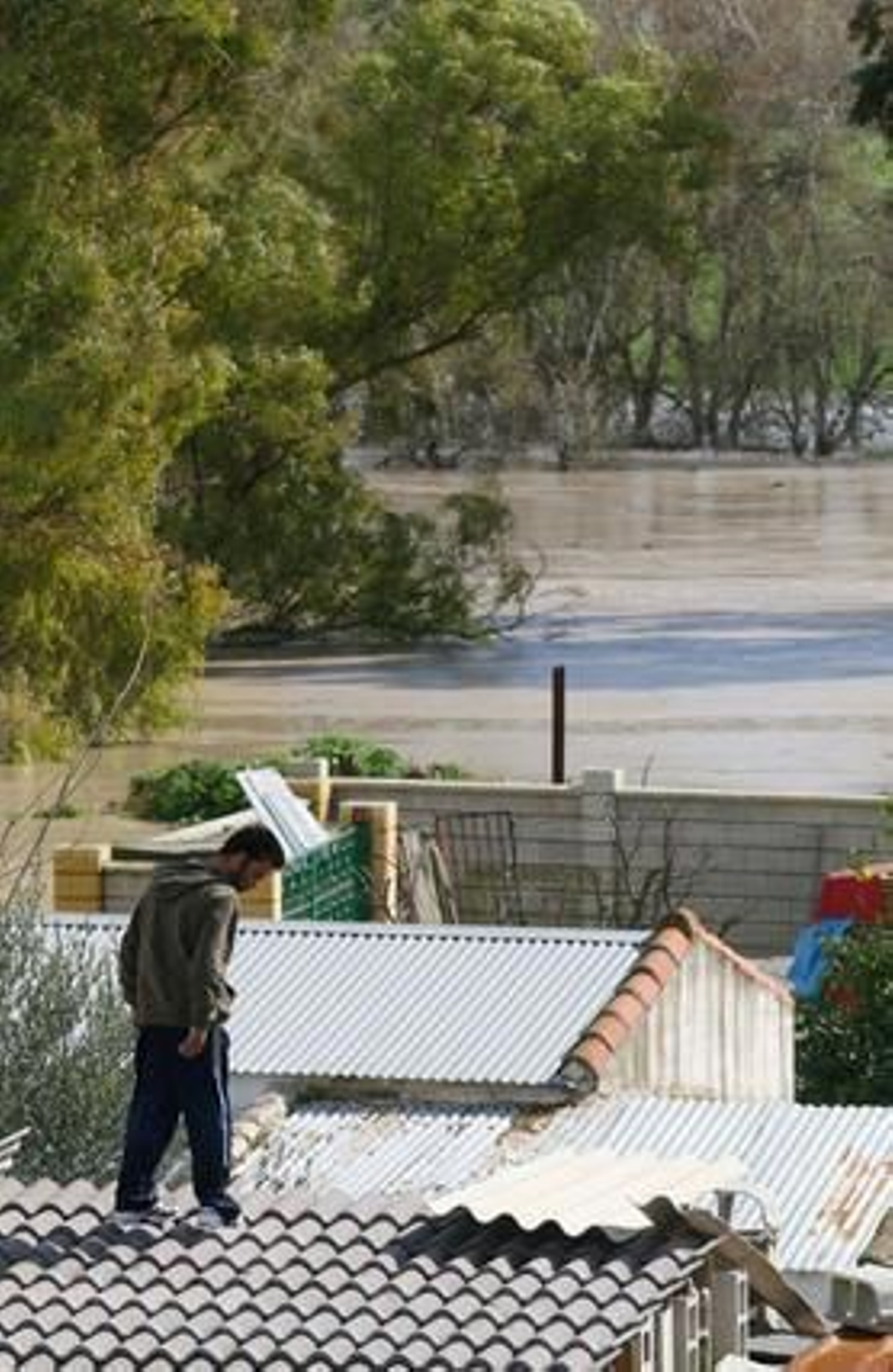 La crecida del río Gualdaquivir inunda algunas zonas de la provincia.