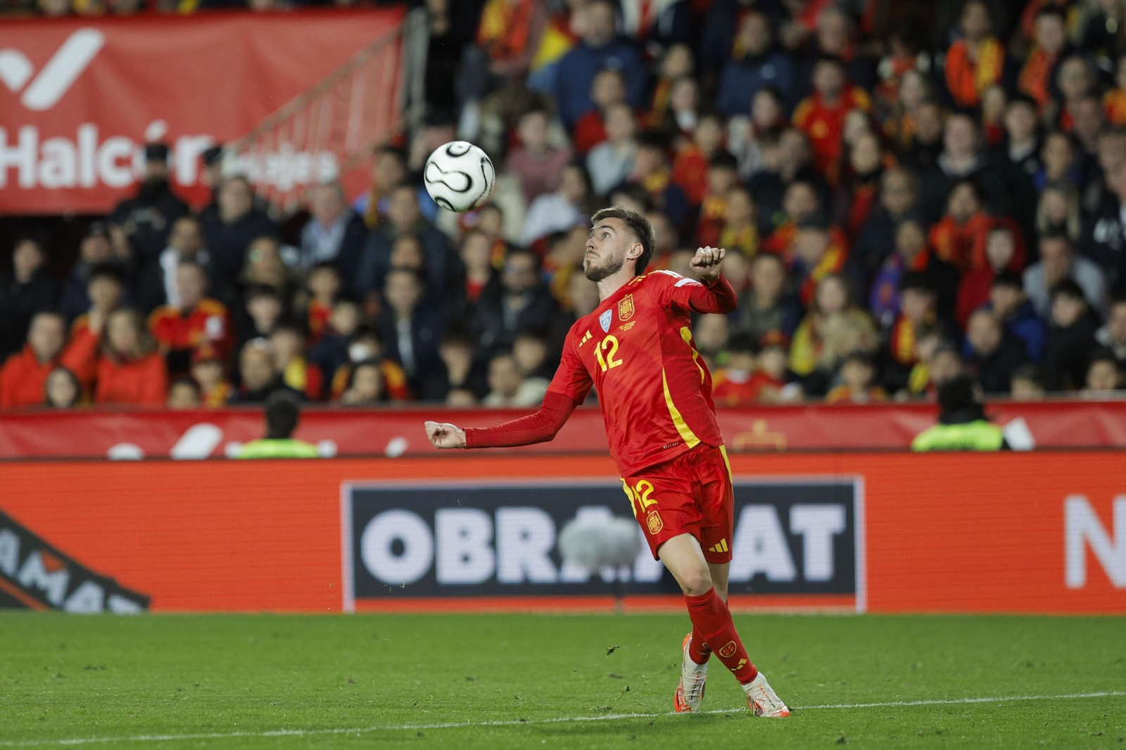 Las mejores fotos del España - Países Bajos