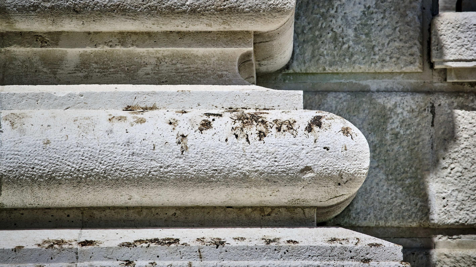 Estado actual del Monumento a Las Cortes de 1812