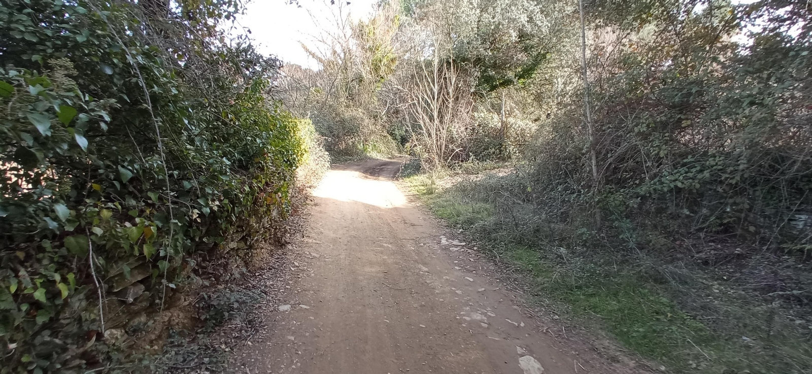 Las imágenes de la ruta de la Dehesa de Valdelama: De Los Marines a Fuenteheridos y vuelta