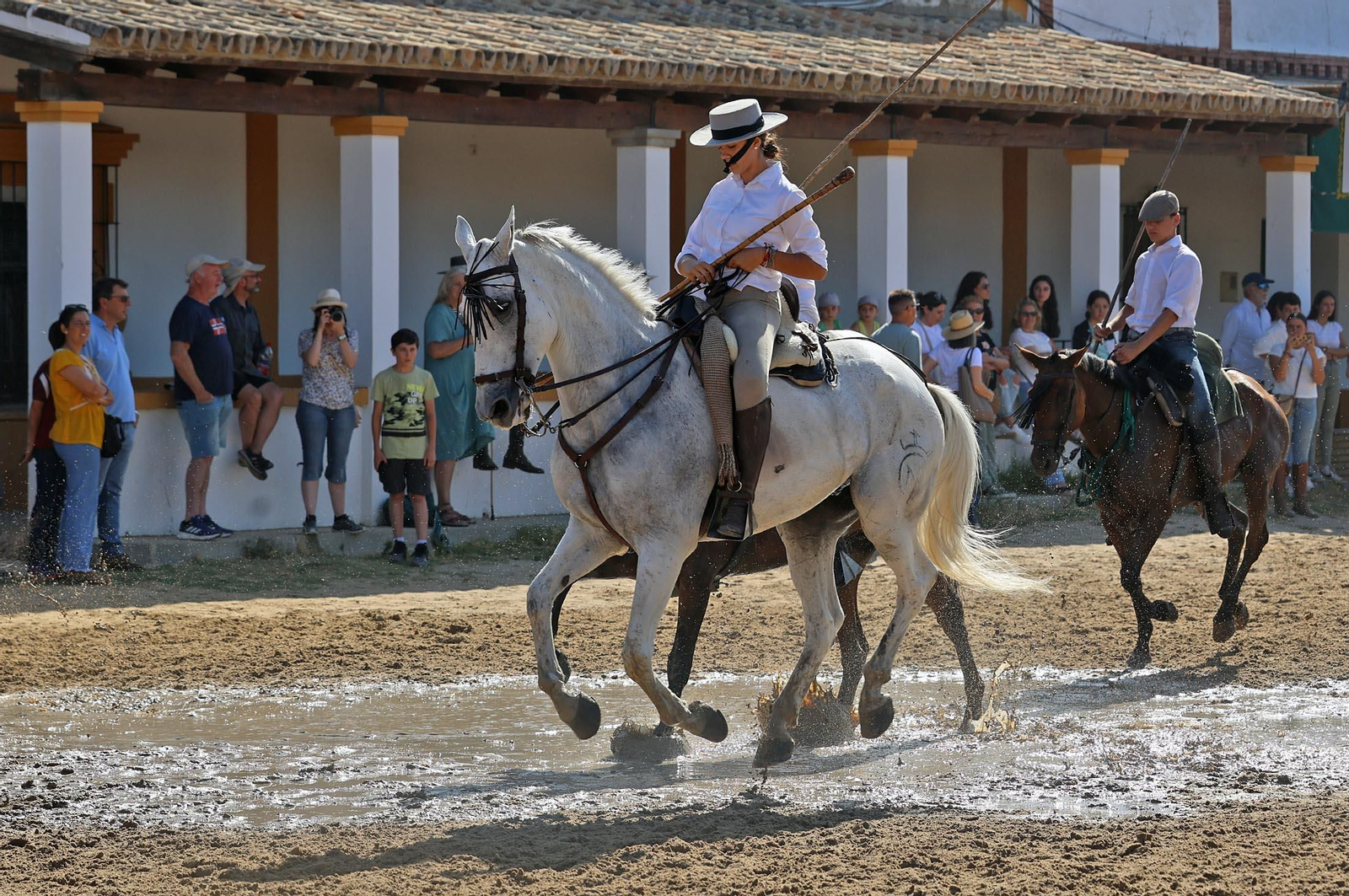Las mejores imágenes de la Saca de las Yeguas 2025