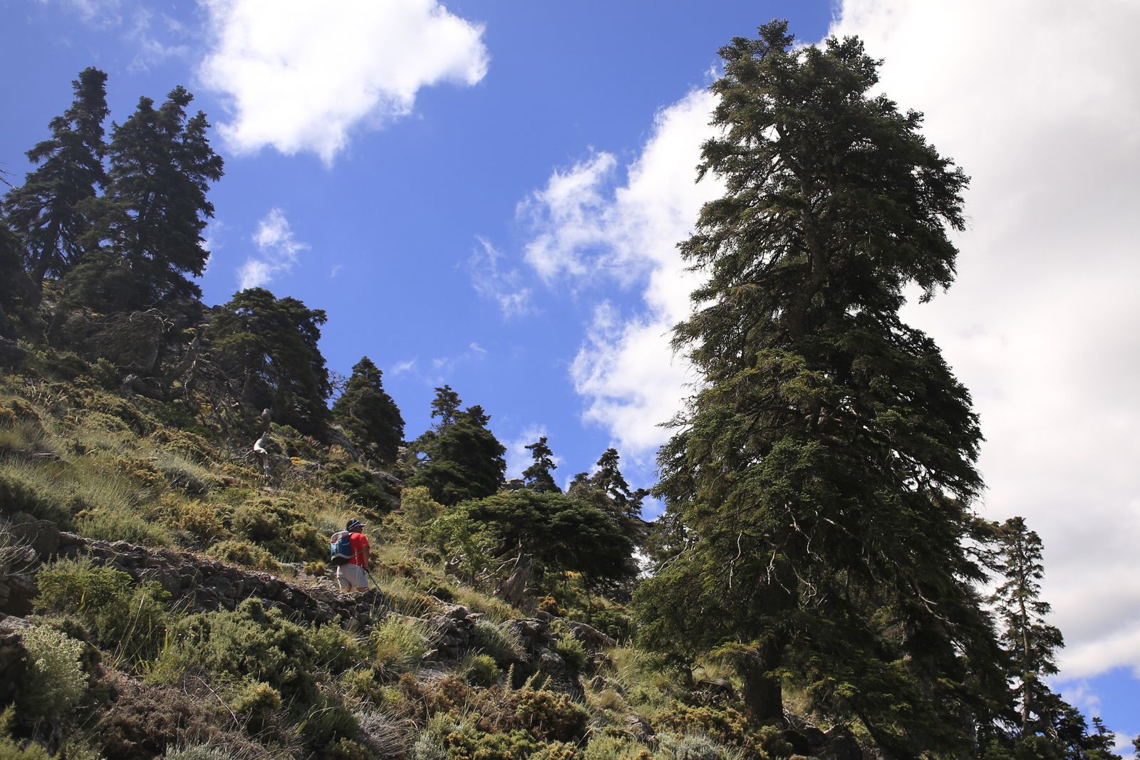 Trabajar realizando de guía de naturaleza es una de las opciones.