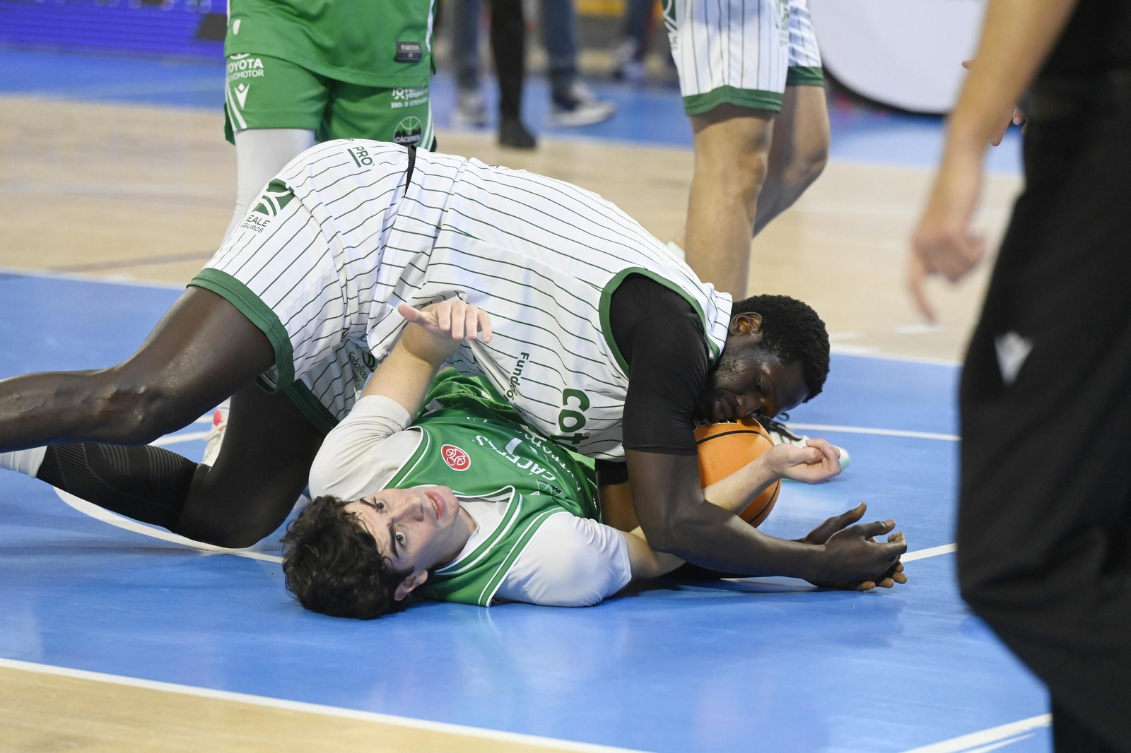 Las mejores fotos del ambiente en el Coto Córdoba - Cáceres Patrimonio de la Humanidad