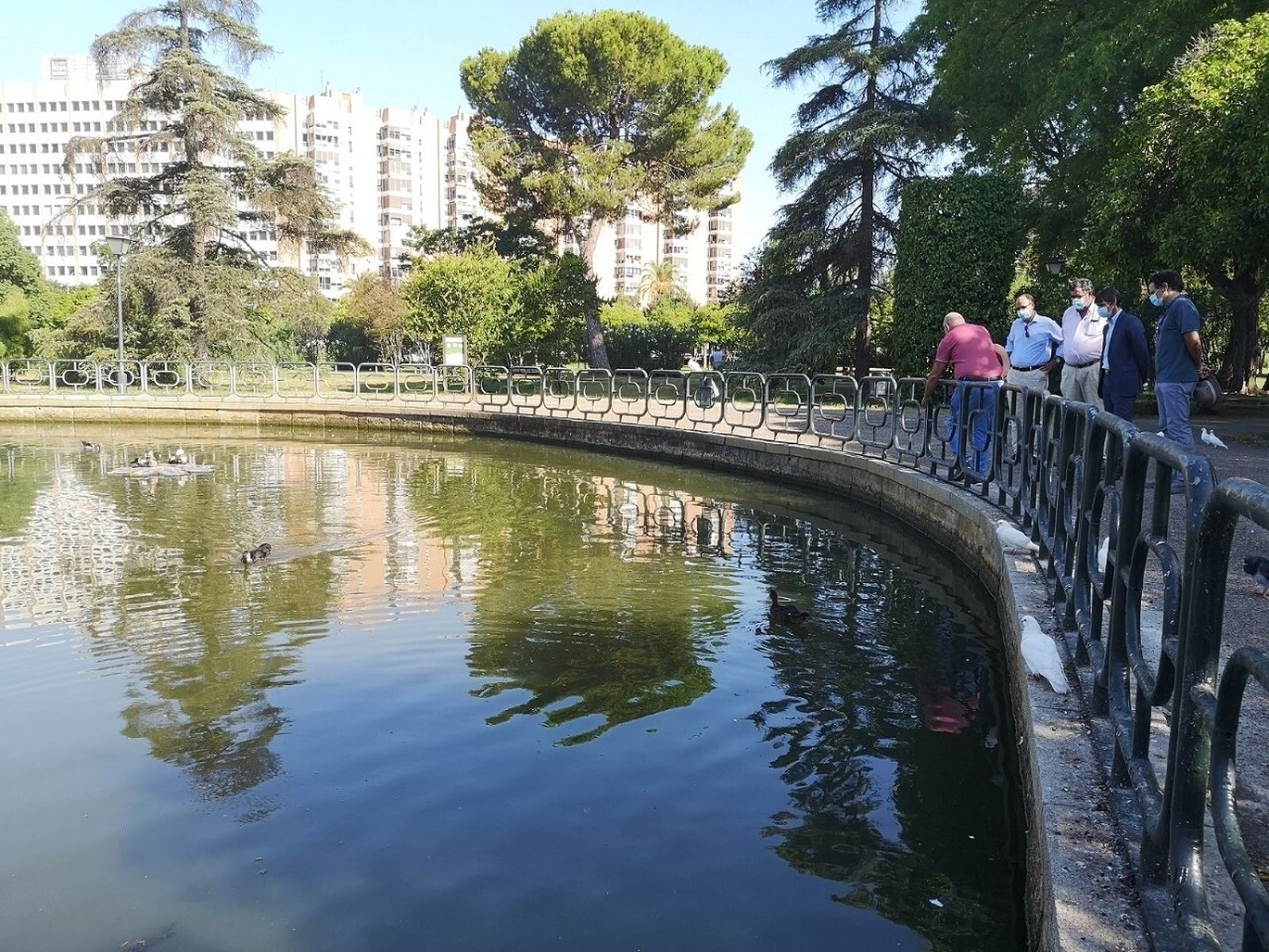 El nuevo aspecto del estanque del Parque de los Príncipes al habérsele retirado la biomasa verde.