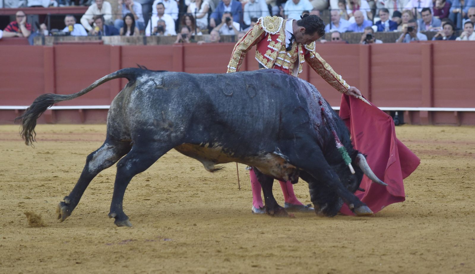 La 14ª de abono en la Real Maestranza de Sevilla, en imágenes