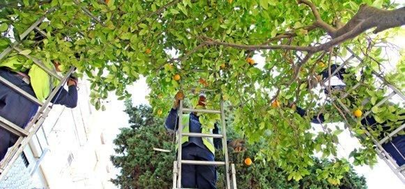 Escalando en la integración
