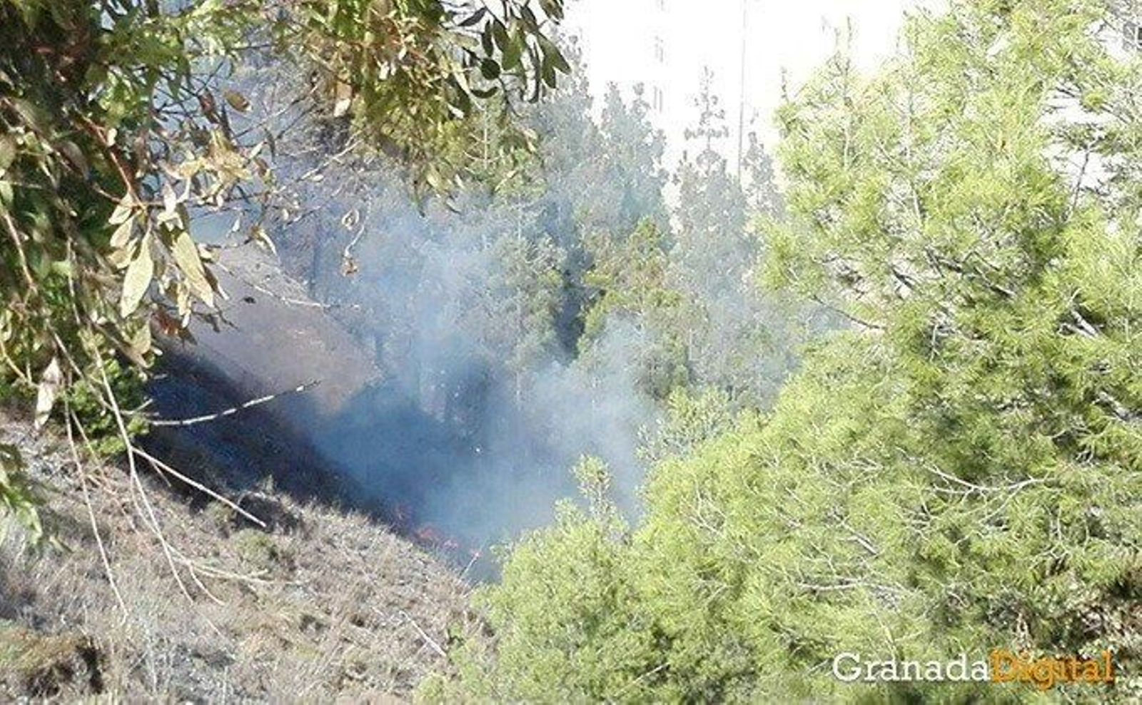 Incendio junto a la playa de Velilla