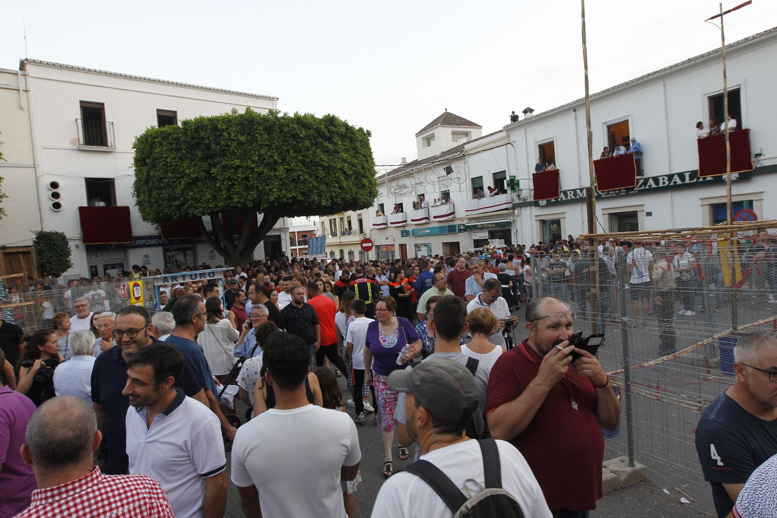 Fotogalería Cristo de la Luz. Dalías