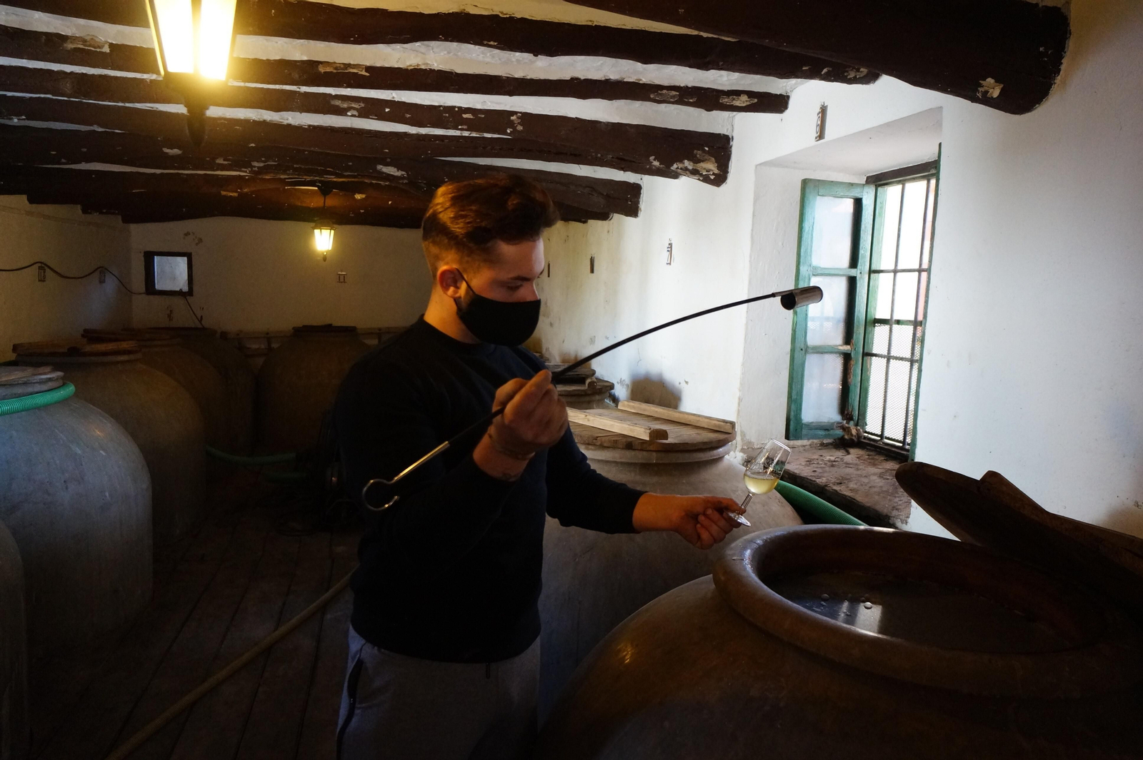 Un recorrido en fotografías por el vino nuevo de Moriles