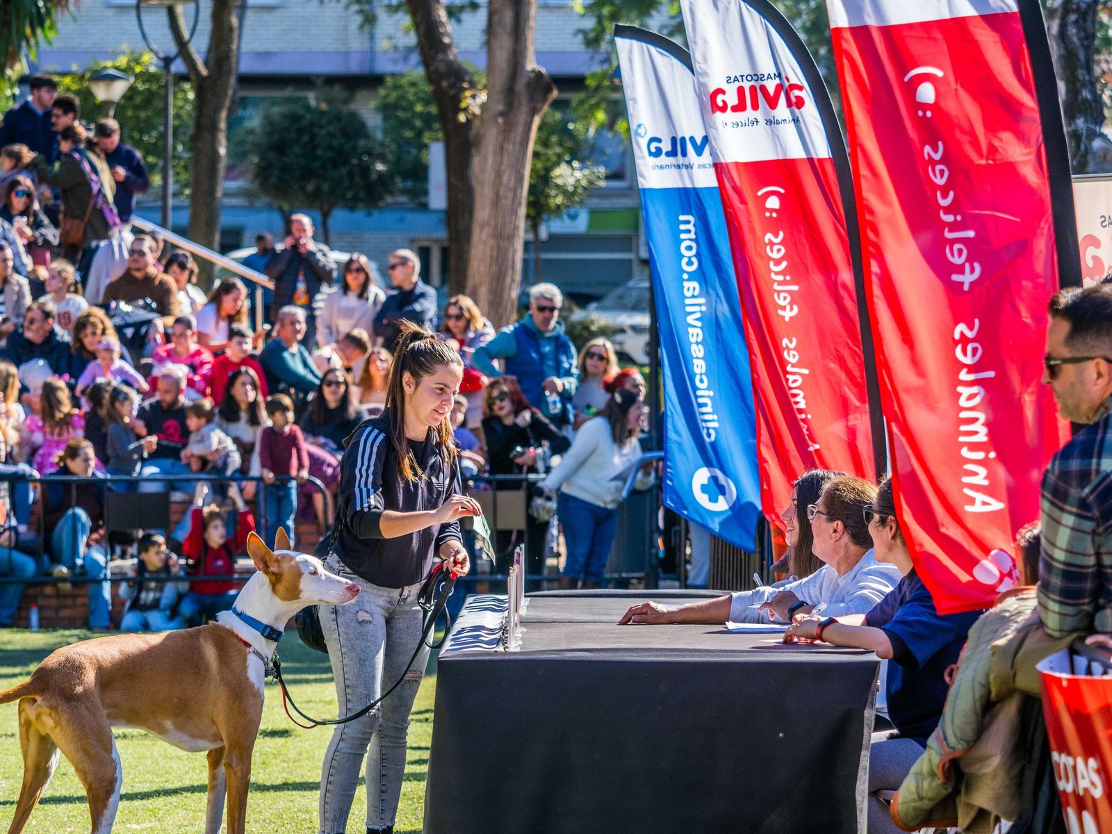 Las imágenes de San Antón 2025 en San Fernando