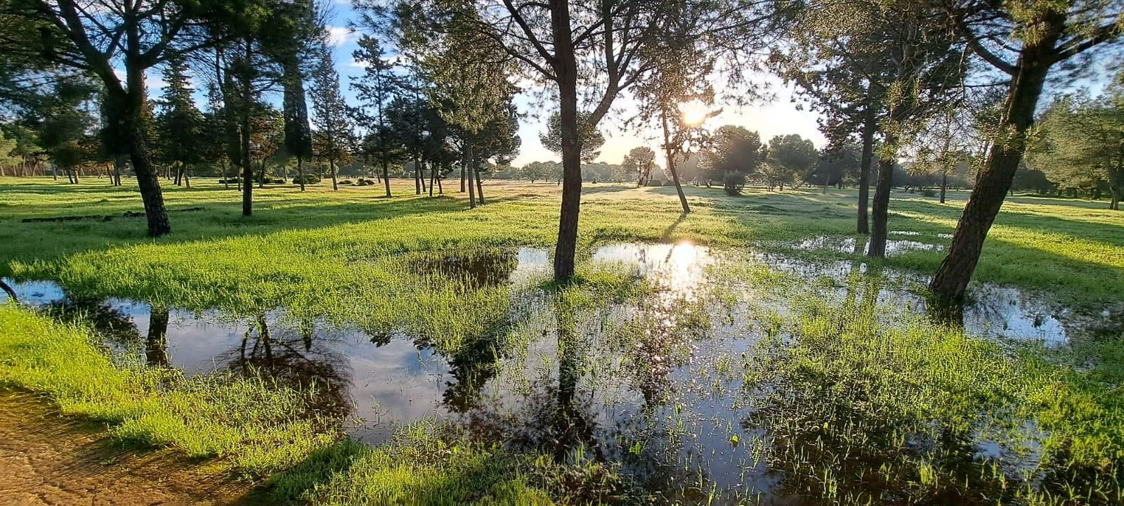Lagunas del Este de Sevilla
