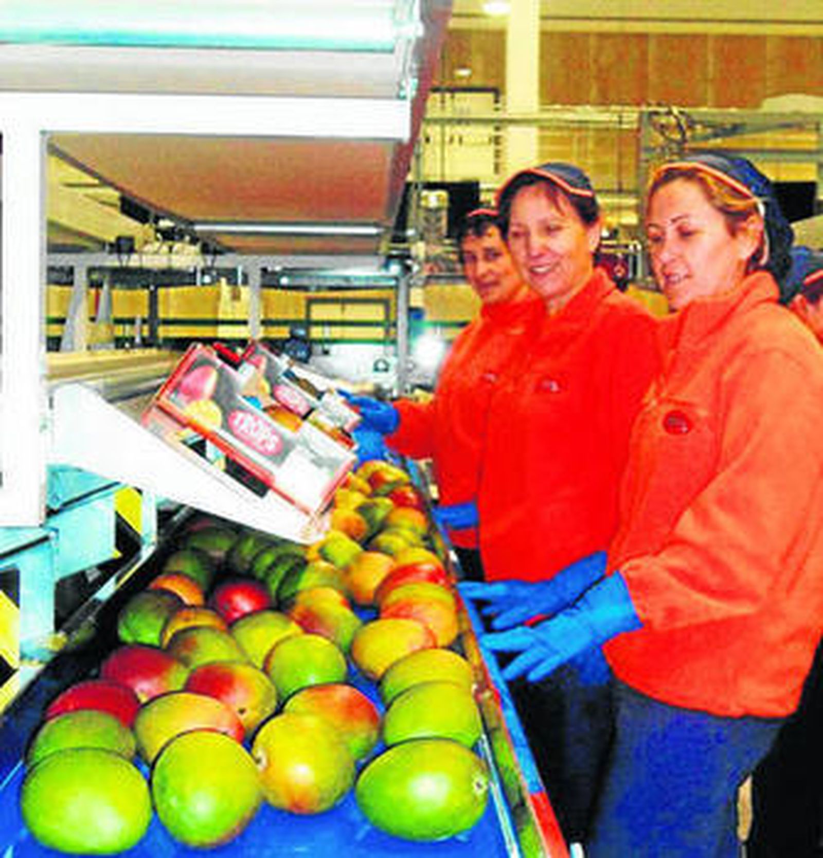 Trabajadoras de Mango Trops.
