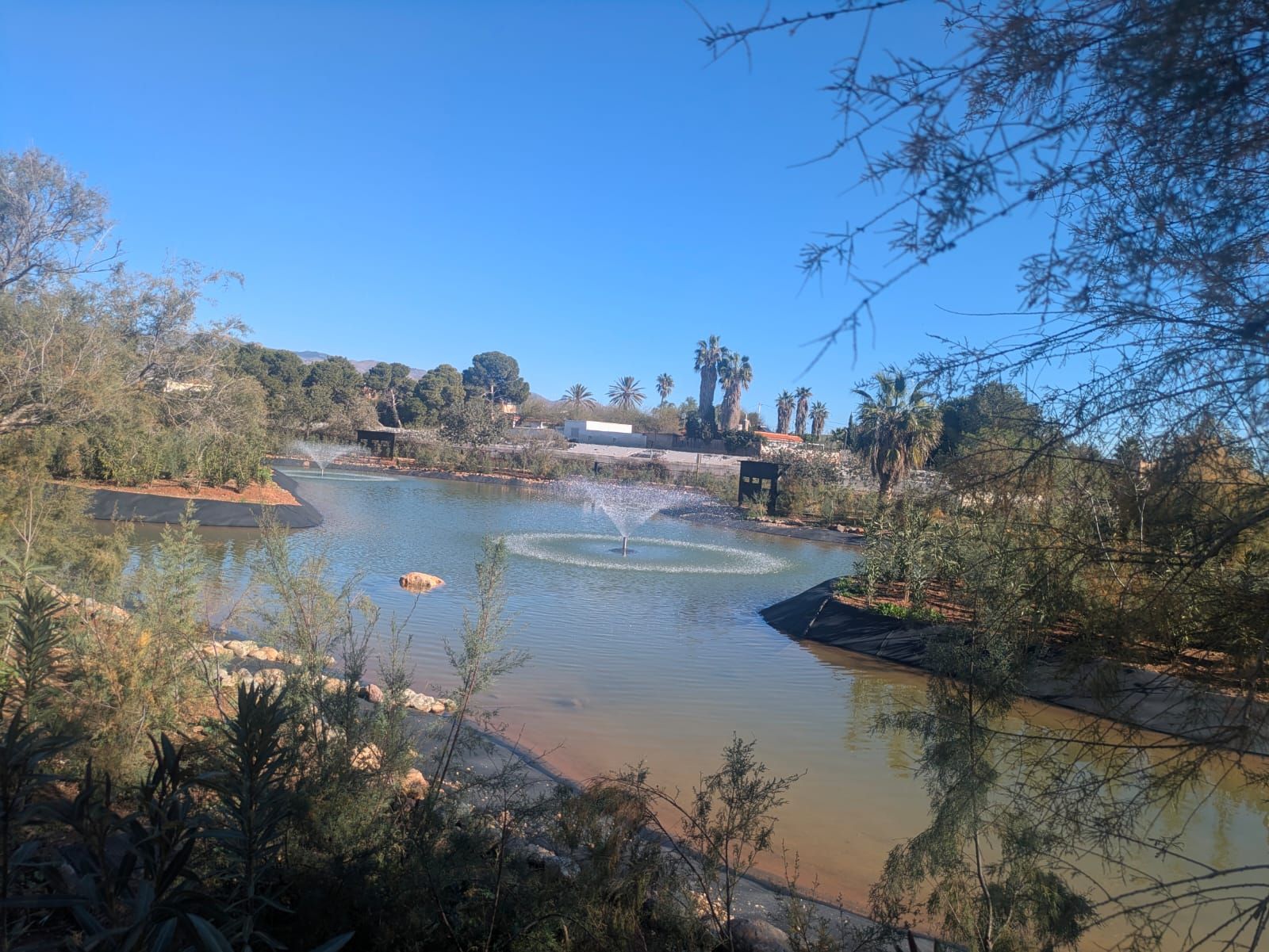 Uno de los estanques recuperados de El Boticario.