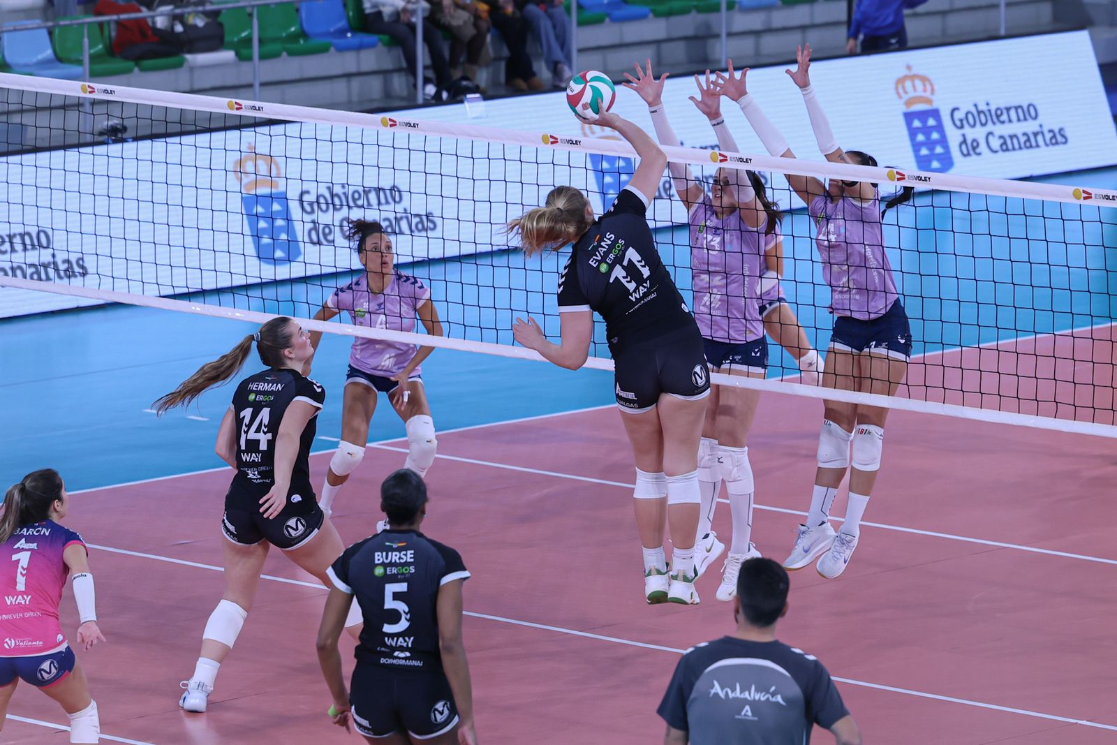 Las fotos de la clasificación del Fundación Cajasol Andalucía para la final de la Copa